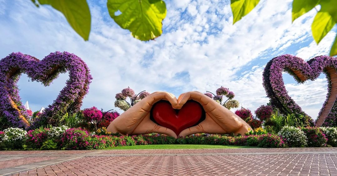 Gallery image 2 - visit habibi