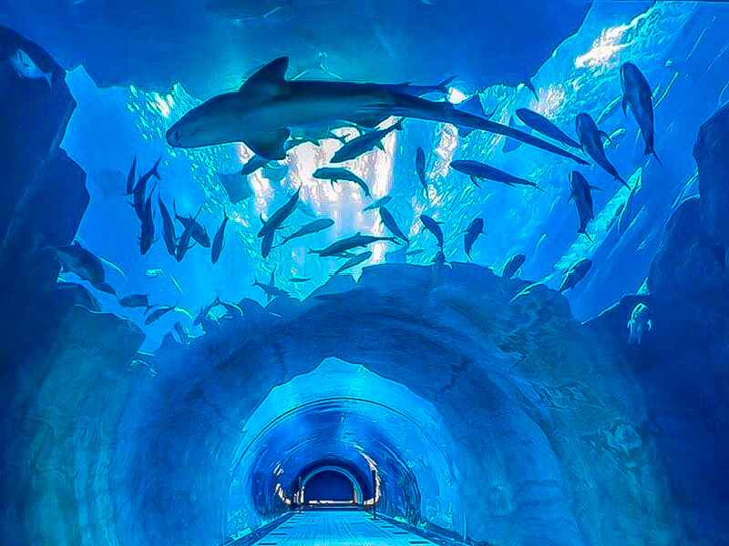 Gallery image 2 - visit habibi