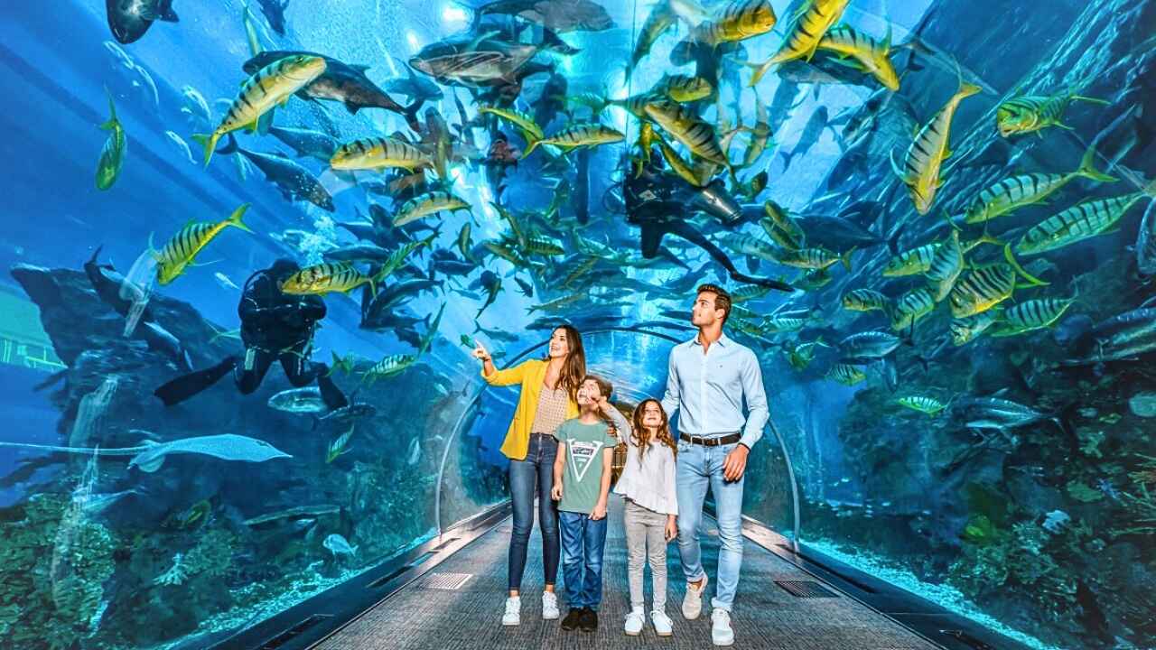 Gallery image 1 - visit habibi