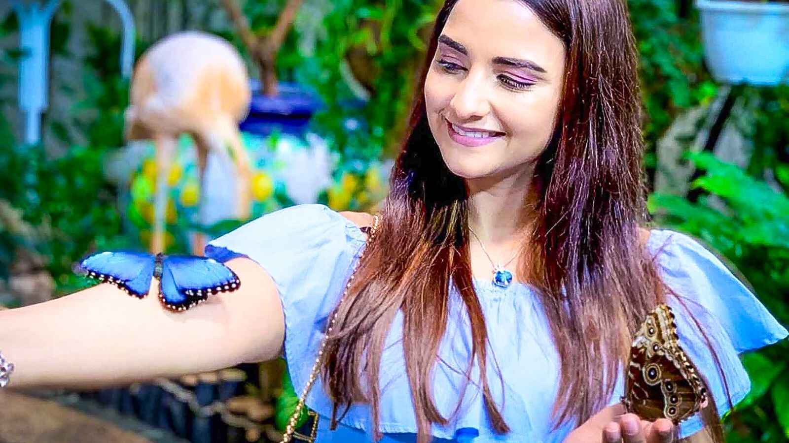 Gallery image 5 - visit habibi