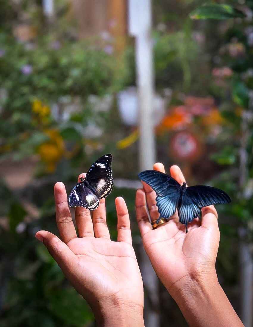 Gallery image 2 - visit habibi