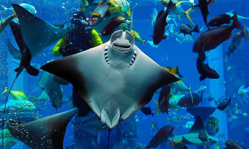 Gallery image 4 - visit habibi