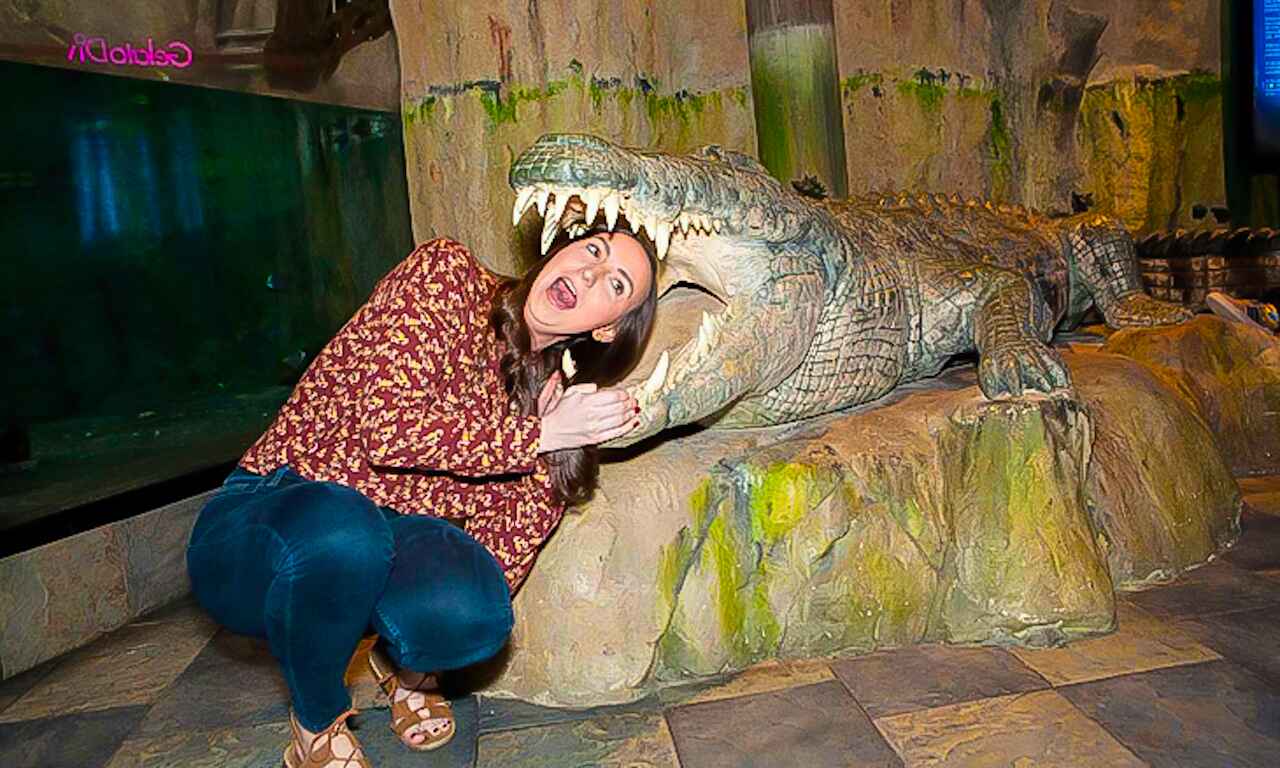 Gallery image 3 - visit habibi