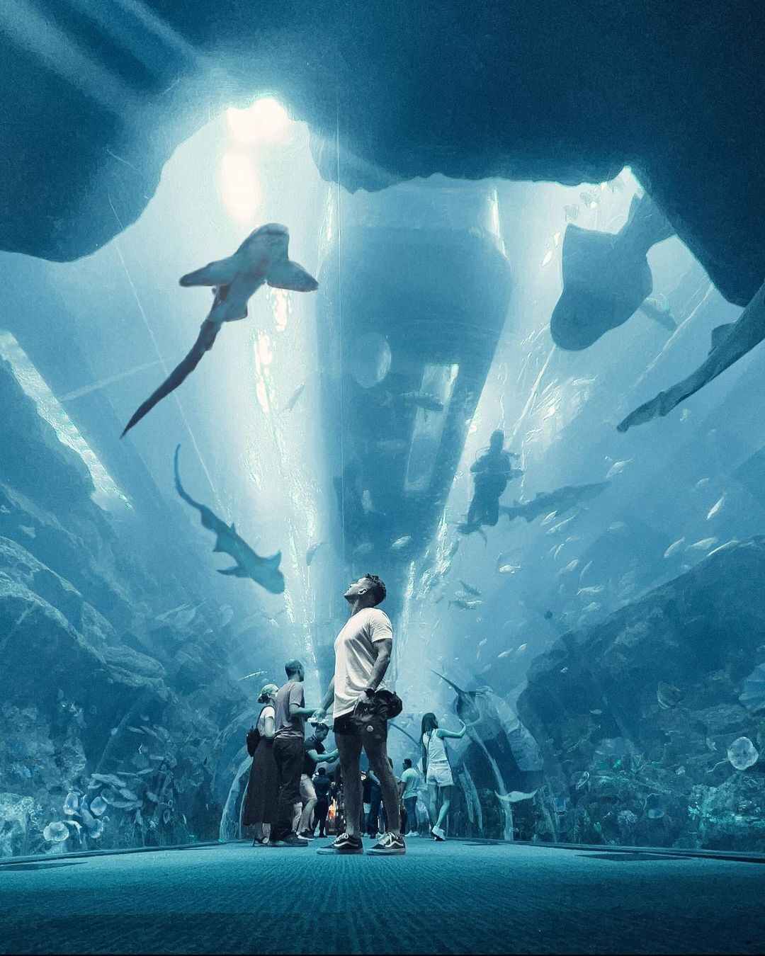 Gallery image 6 - visit habibi