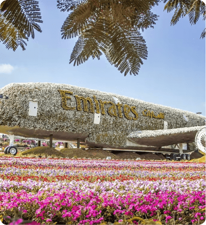 Gallery image 4 - visit habibi