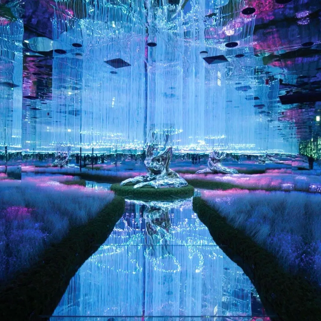 Gallery image 5 - visit habibi